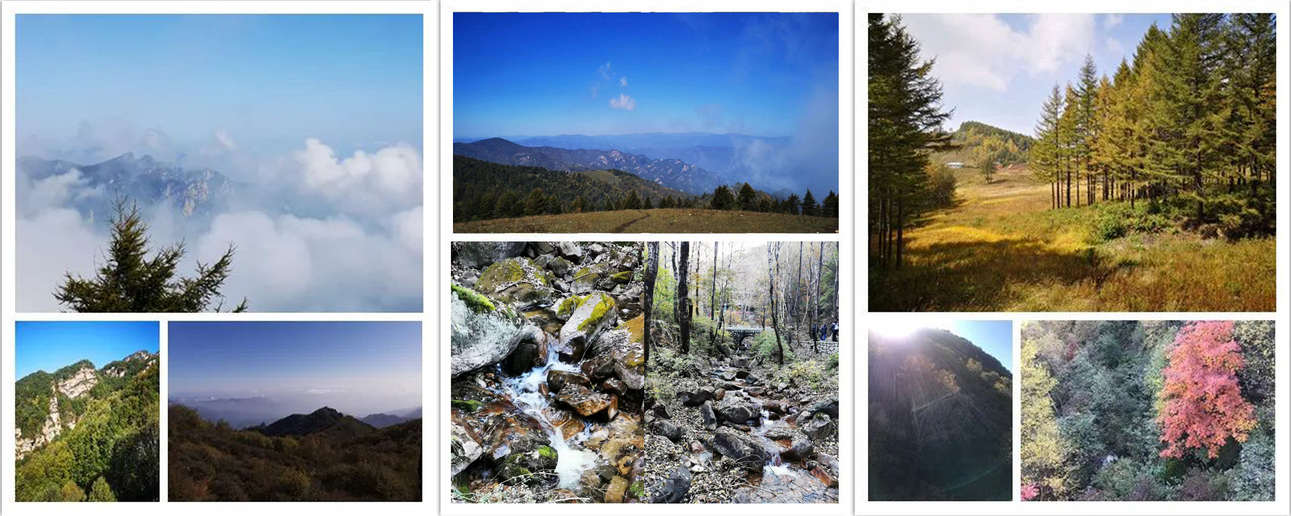 1726809274400045.jpg 组成3.jpg