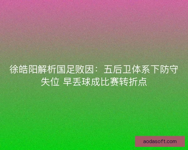 徐皓阳解析国足败因：五后卫体系下防守失位 早丢球成比赛转折点