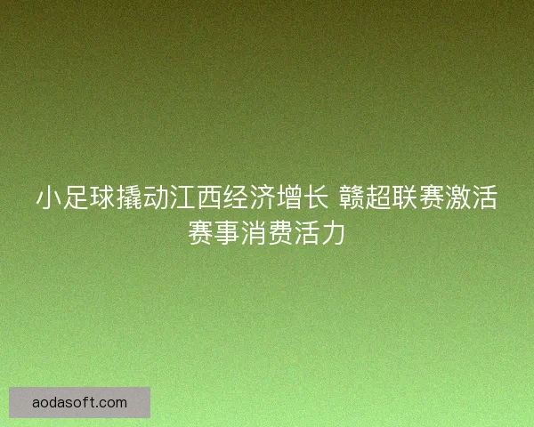 小足球撬动江西经济增长 赣超联赛激活赛事消费活力