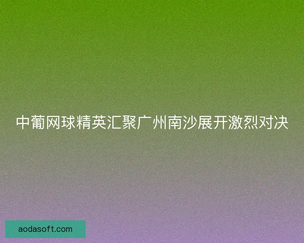 中葡网球精英汇聚广州南沙展开激烈对决