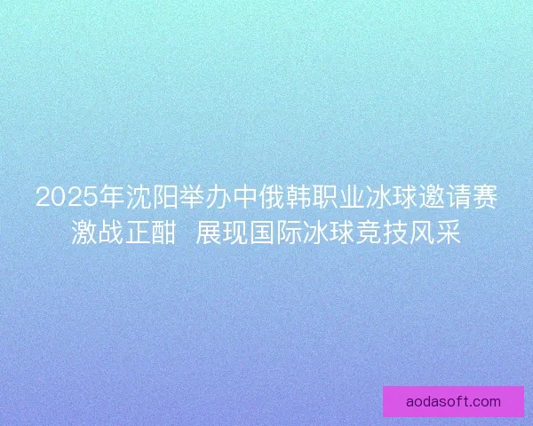 2025年沈阳举办中俄韩职业冰球邀请赛激战正酣  展现国际冰球竞技风采